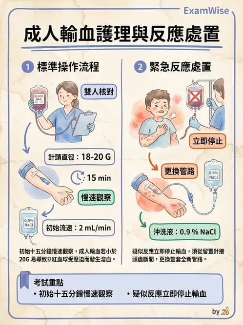 護理師 - 輸血與藥物計算 - AI 圖文解析預覽