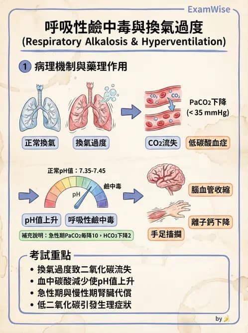 護理師 - 體溫與呼吸評估 - AI 圖文解析預覽
