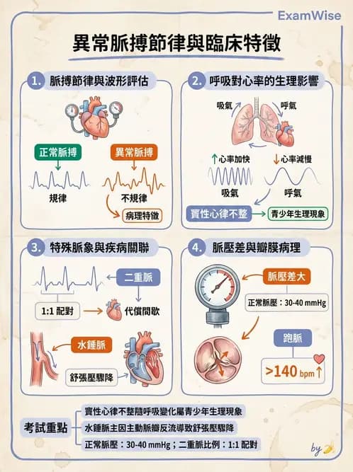 護理師 - 循環評估(脈搏與血壓) - AI 圖文解析預覽