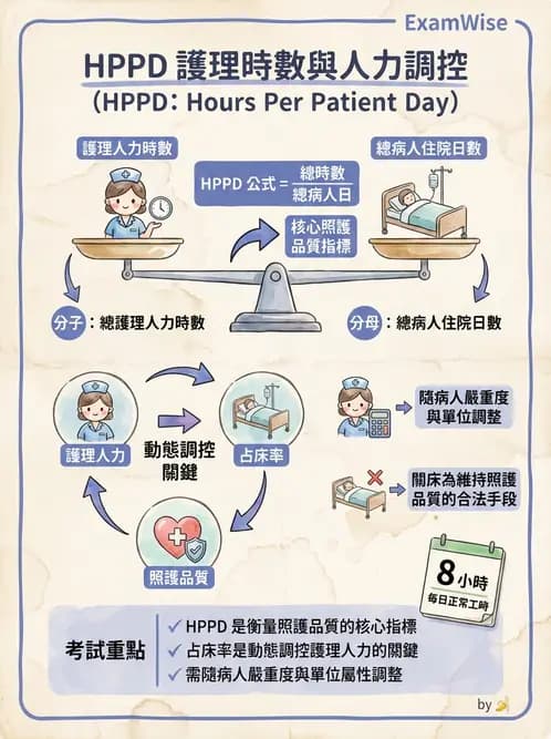 護理師 - 人力資源與排班管理 - AI 圖文解析預覽