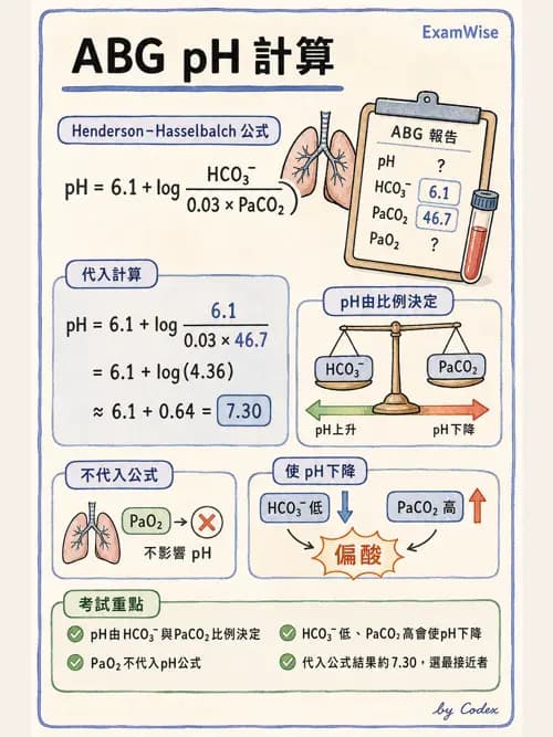 呼吸治療師 - 酸鹼平衡與腎臟生理 - AI 圖文解析預覽