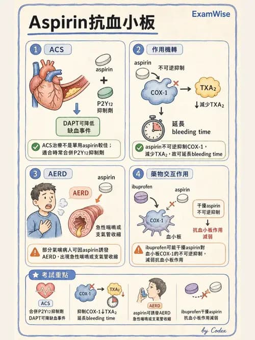 呼吸治療師 - 心臟血管藥物 - AI 圖文解析預覽