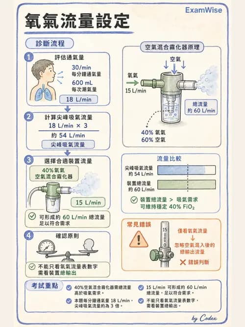 呼吸治療師 - 氣體輸送系統與氧氣治療 - AI 圖文解析預覽