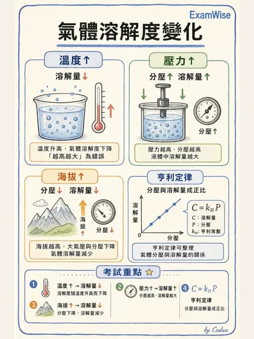 呼吸治療師 - 氣體物理學 - AI 圖文解析預覽