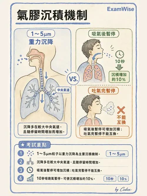 呼吸治療師 - 吸入性藥物噴霧設備 - AI 圖文解析預覽