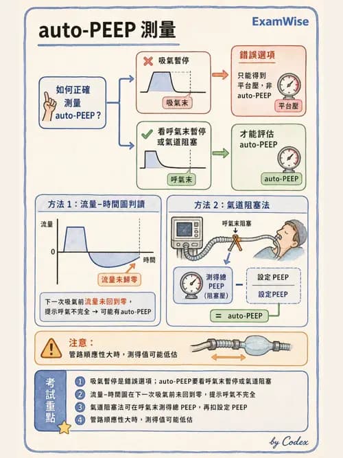 呼吸治療師 - 呼吸機械力學監測 - AI 圖文解析預覽