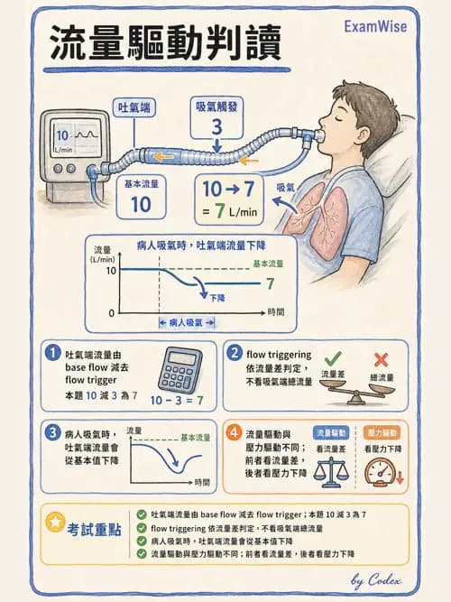 呼吸治療師 - 呼吸機械力學監測 - AI 圖文解析預覽