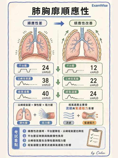 呼吸治療師 - 機械通氣生理 - AI 圖文解析預覽