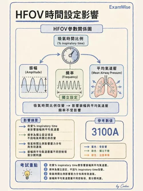 呼吸治療師 - 小兒呼吸器支持 - AI 圖文解析預覽