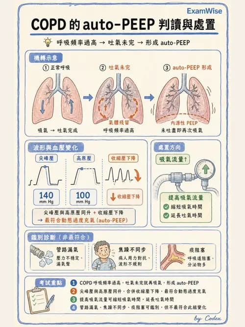 呼吸治療師 - 呼吸器圖形判讀與故障排除 - AI 圖文解析預覽
