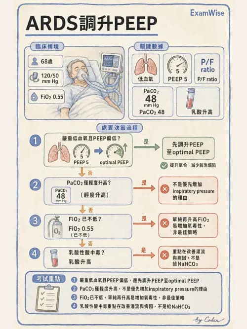 呼吸治療師 - ARDS與呼吸衰竭 - AI 圖文解析預覽
