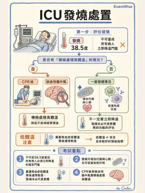 呼吸治療師 - 休克、敗血症與多器官衰竭 - AI 圖文解析預覽