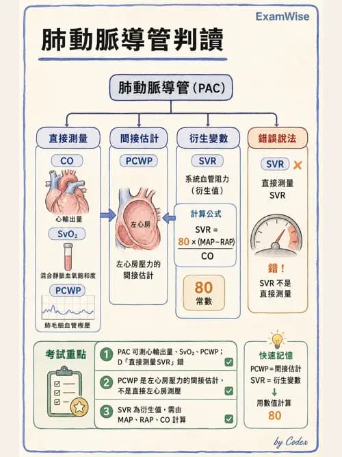 呼吸治療師 - 重症監測與判讀 - AI 圖文解析預覽
