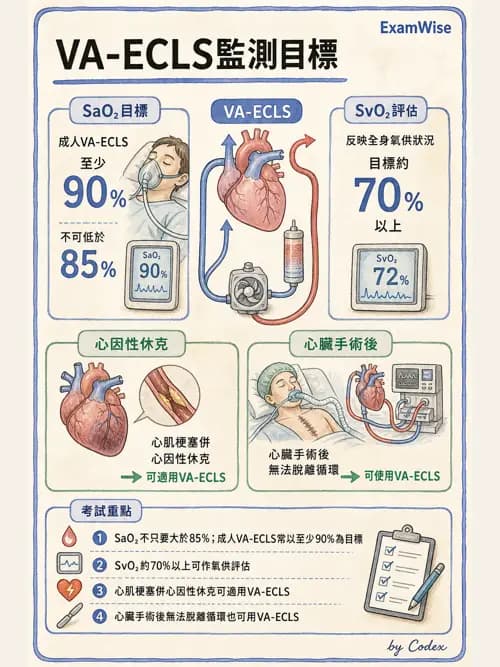 呼吸治療師 - 重症特殊處置 - AI 圖文解析預覽
