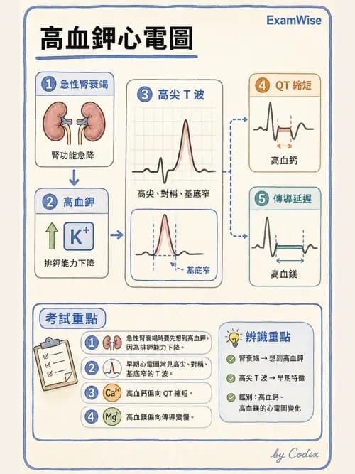呼吸治療師 - 重症監測與判讀 - AI 圖文解析預覽
