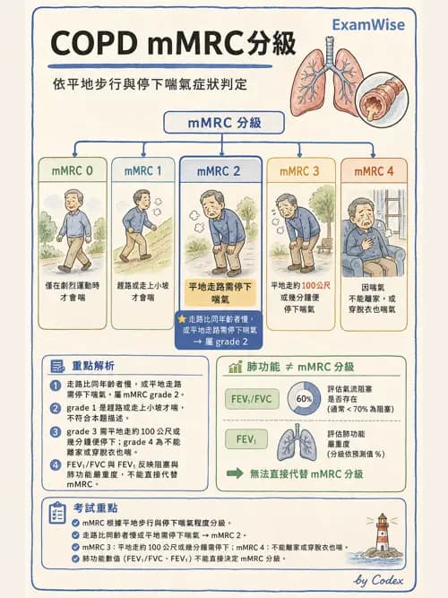 呼吸治療師 - 慢性氣道疾病 - AI 圖文解析預覽