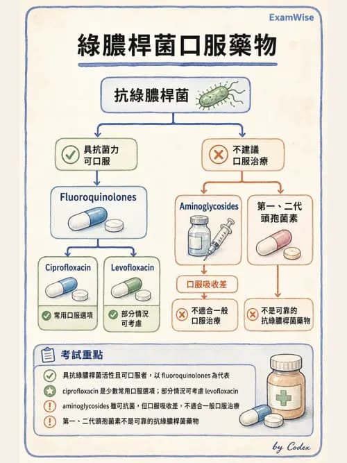 呼吸治療師 - 藥理學概論與抗感染藥物 - AI 圖文解析預覽