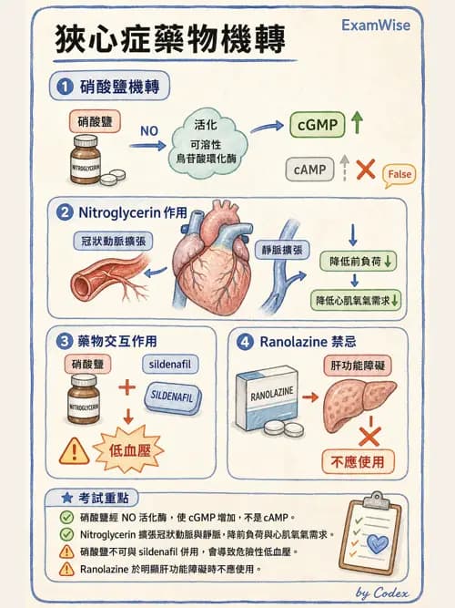呼吸治療師 - 心臟血管藥物 - AI 圖文解析預覽