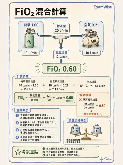 呼吸治療師 - 氣體輸送系統與氧氣治療 - AI 圖文解析預覽