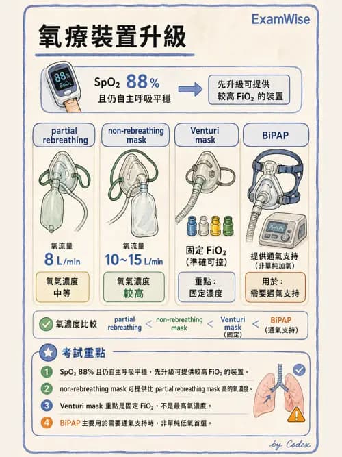 呼吸治療師 - 氣體輸送系統與氧氣治療 - AI 圖文解析預覽