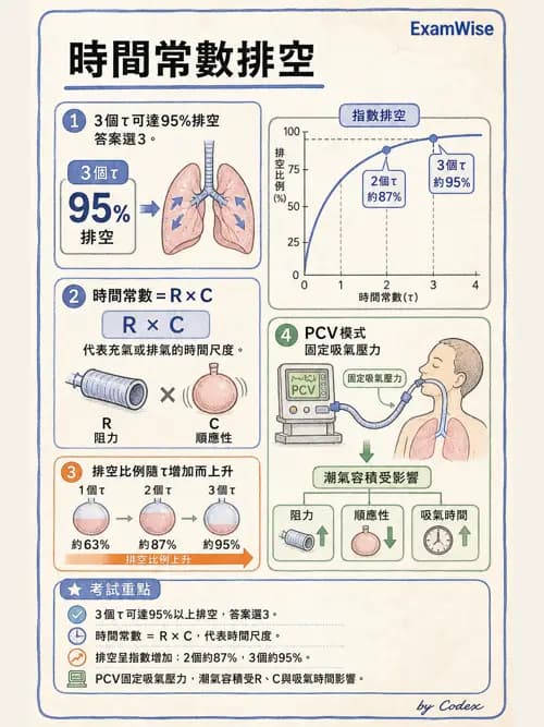 呼吸治療師 - 機械通氣生理 - AI 圖文解析預覽