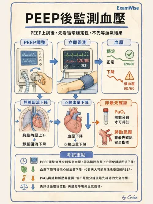 呼吸治療師 - 臨床設定、參數調整與脫離 - AI 圖文解析預覽