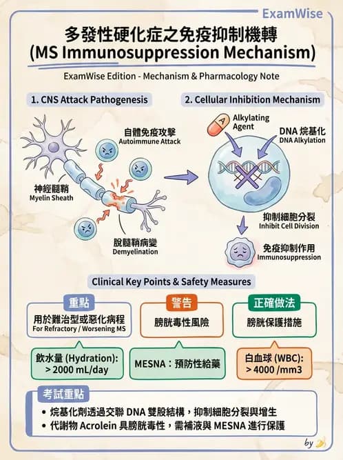 護理師 - 神經退化疾病與癲癇 - AI 圖文解析預覽