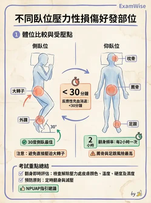護理師 - 顱內壓升高與頭部外傷 - AI 圖文解析預覽