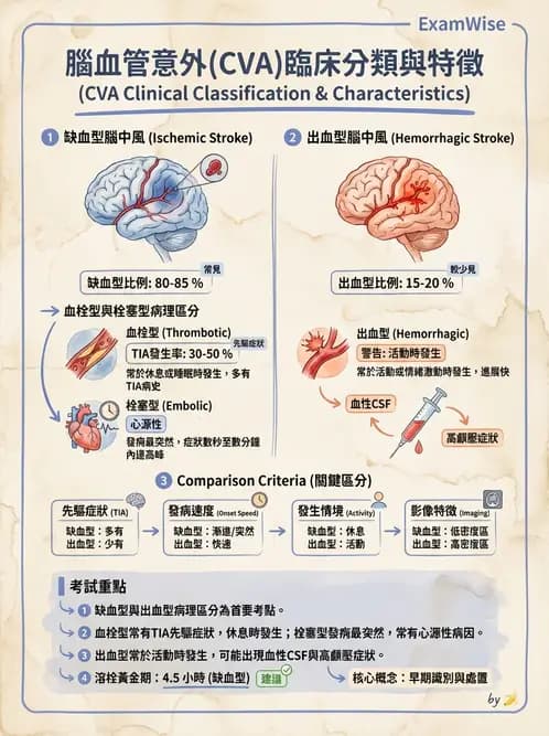 護理師 - 腦中風與腦血管疾病 - AI 圖文解析預覽