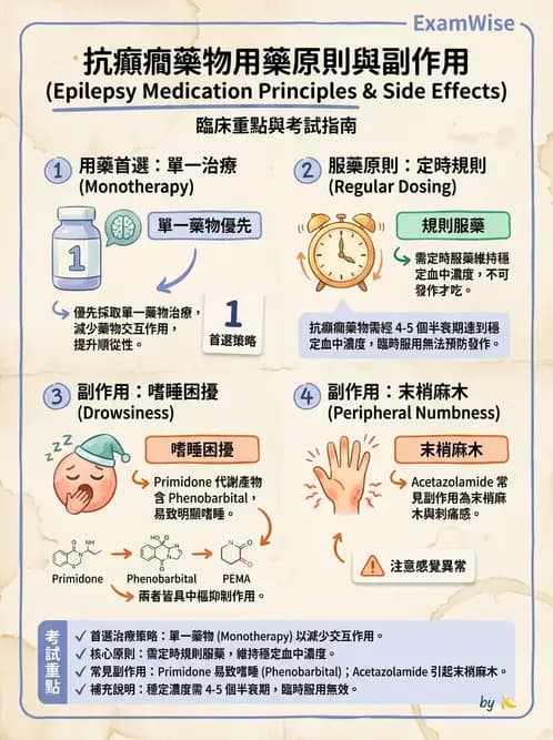 護理師 - 神經退化疾病與癲癇 - AI 圖文解析預覽