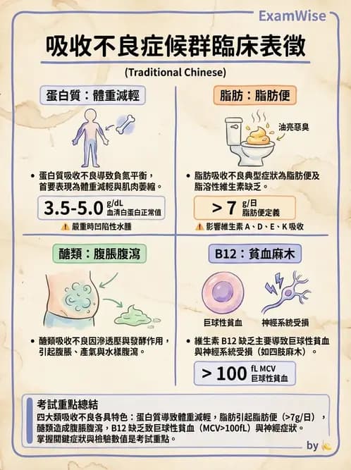 護理師 - 腸道疾病與手術護理 - AI 圖文解析預覽