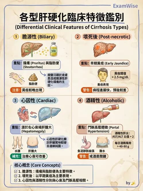 護理師 - 肝膽胰疾病 - AI 圖文解析預覽