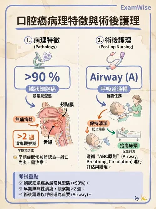 護理師 - 其他常見癌症護理 - AI 圖文解析預覽