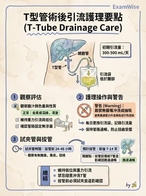 護理師 - 肝膽胰疾病 - AI 圖文解析預覽