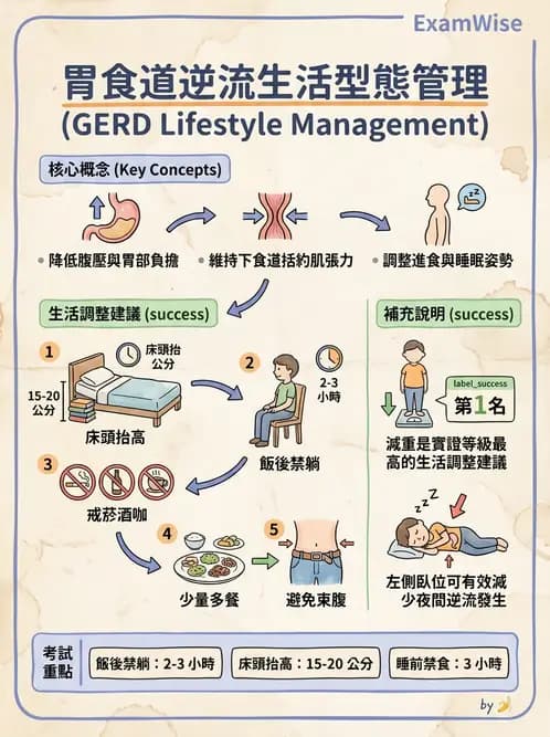 護理師 - 上消化道疾病 - AI 圖文解析預覽