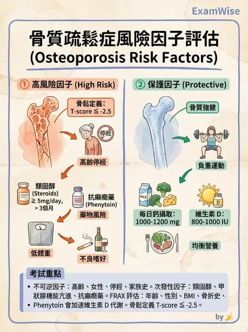 護理師 - 關節疾病與骨科手術 - AI 圖文解析預覽