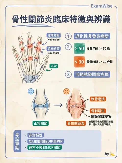 護理師 - 關節疾病與骨科手術 - AI 圖文解析預覽