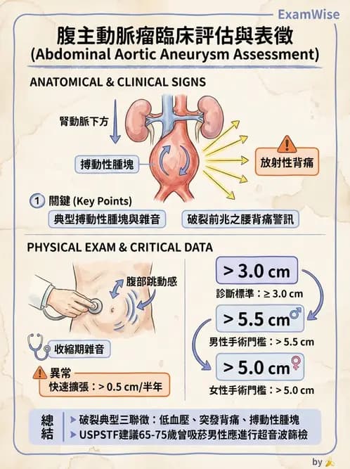 護理師 - 高血壓與周邊血管疾病 - AI 圖文解析預覽