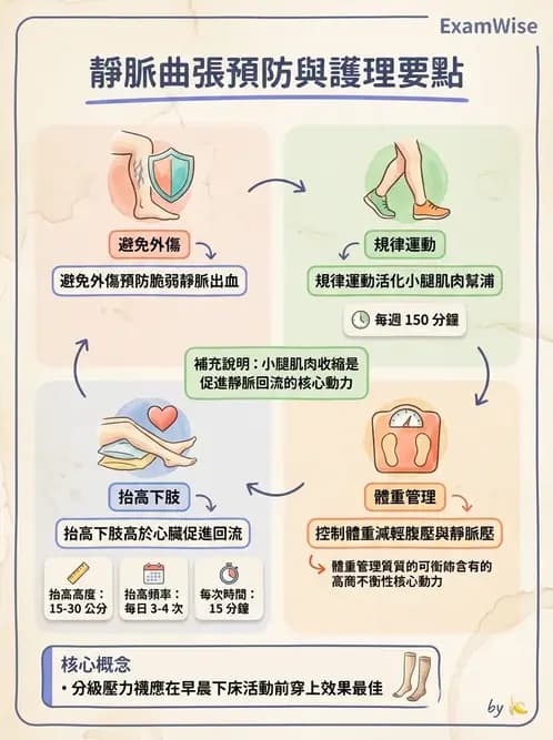 護理師 - 高血壓與周邊血管疾病 - AI 圖文解析預覽