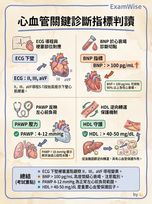 護理師 - 冠狀動脈疾病與心肌梗塞 - AI 圖文解析預覽