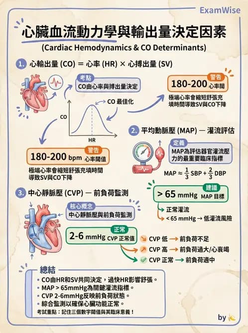 護理師 - 冠狀動脈疾病與心肌梗塞 - AI 圖文解析預覽
