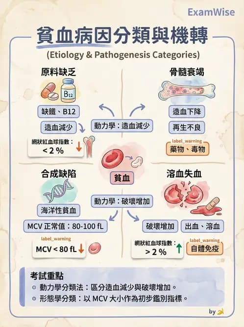 護理師 - 貧血與凝血疾病 - AI 圖文解析預覽