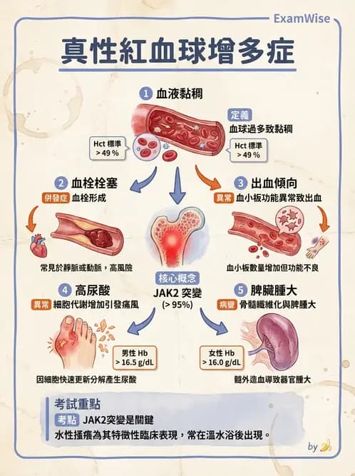 護理師 - 貧血與凝血疾病 - AI 圖文解析預覽