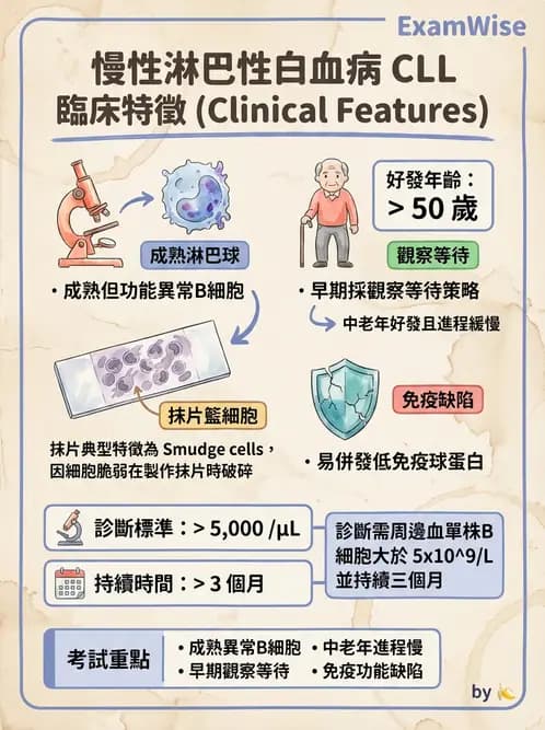 護理師 - 血液腫瘤疾病 - AI 圖文解析預覽
