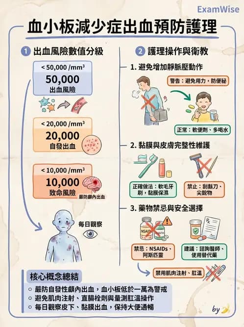 護理師 - 貧血與凝血疾病 - AI 圖文解析預覽