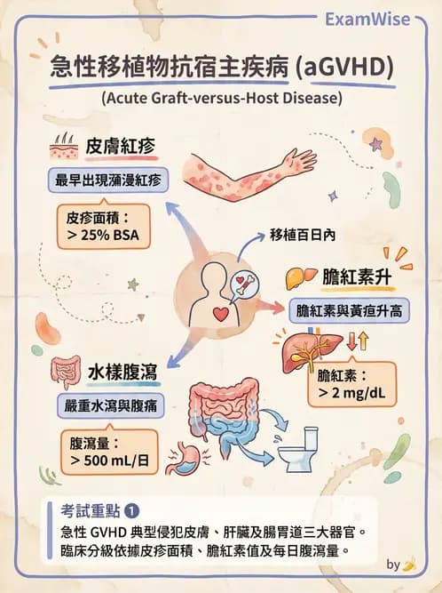 護理師 - 器官移植與AIDS - AI 圖文解析預覽