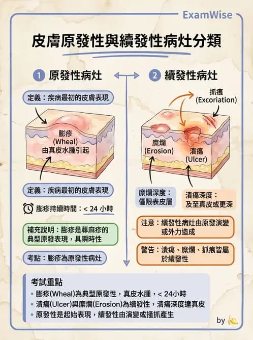 護理師 - 皮膚疾病與傷口護理 - AI 圖文解析預覽