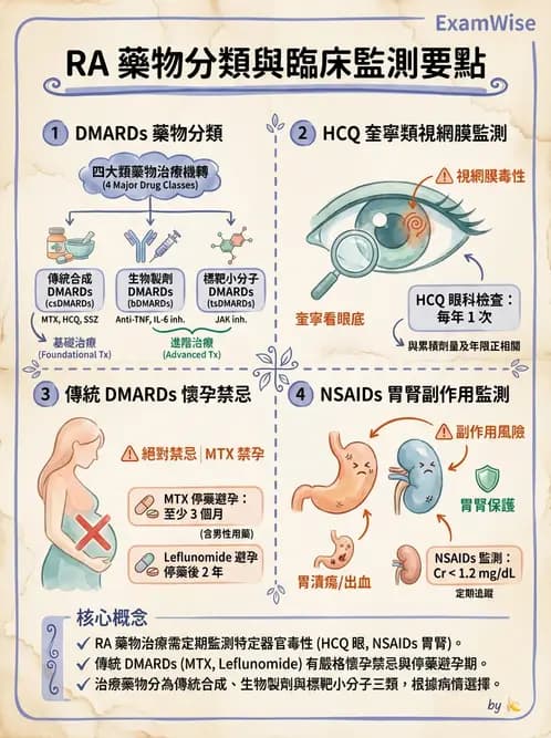護理師 - 自體免疫疾病與過敏反應 - AI 圖文解析預覽