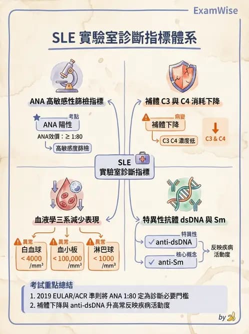 護理師 - 自體免疫疾病與過敏反應 - AI 圖文解析預覽
