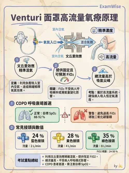 護理師 - 呼吸衰竭與胸腔護理 - AI 圖文解析預覽